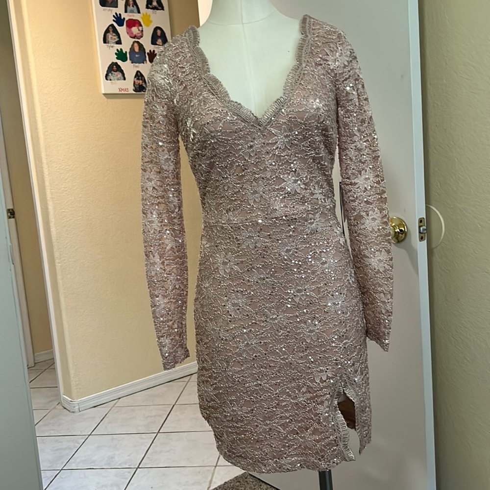 NWT Long Sleeve Lace and Sequin Dress